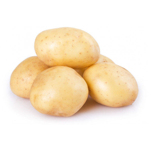 Fresh potato 