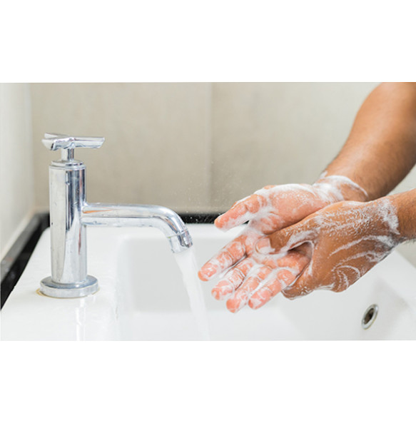 ZEQUALA Pure Hand Soap (500ml)