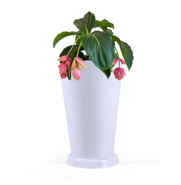 Cone Shape White Plastic Flower Pot