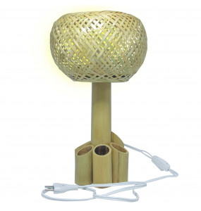 Fikerte_ Unique Bamboo Lamp Shade