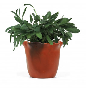 Enisra Clay Flower Pot
