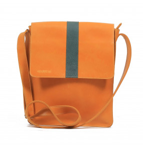 Aliganesh _Laptop Shoulder Bag 