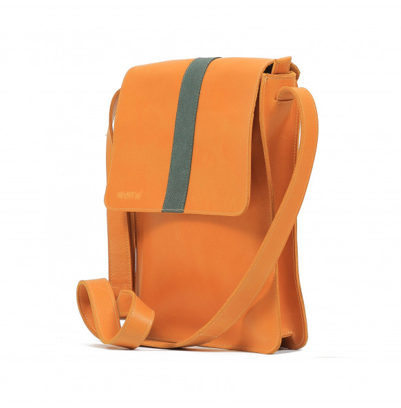 Aliganesh _Laptop Shoulder Bag 