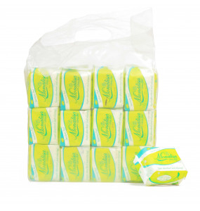 Monalisa Sanitary Pad Pack /24 