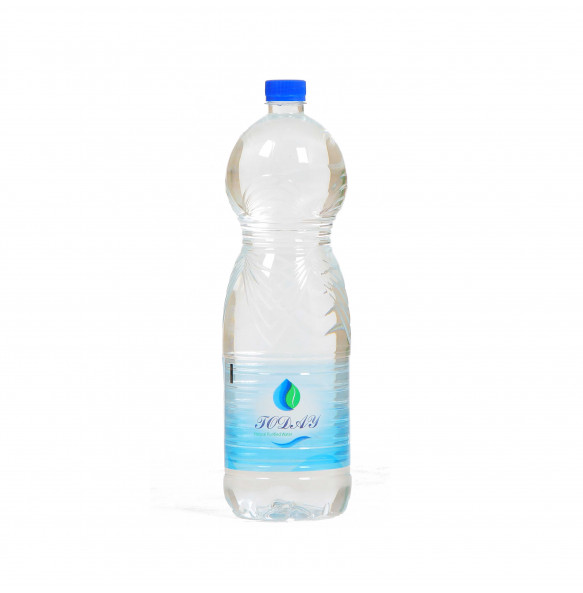 Today Natural Purified Water 2L