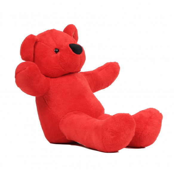Kalkidan_ Rad Teddy Bear/Soft Toy