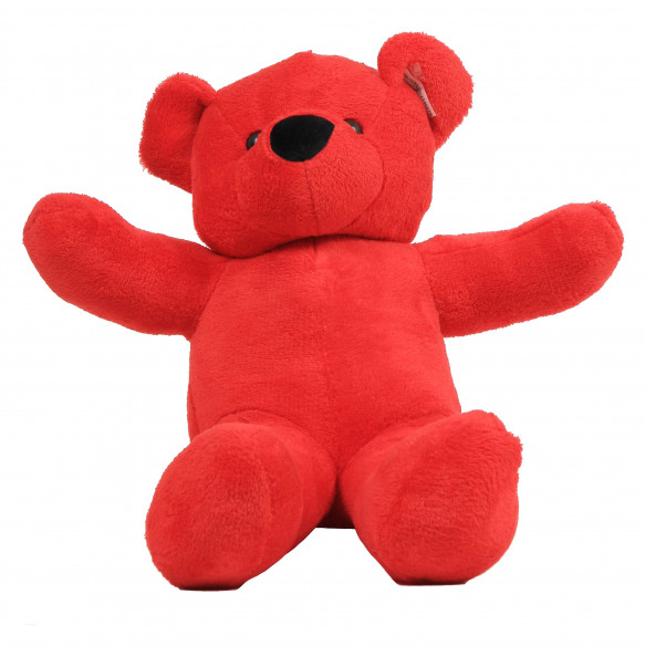 Kalkidan_ Rad Teddy Bear/Soft Toy