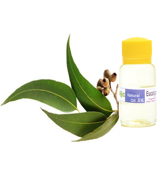 Ecopia 100%Organic Eucalyptus Oil (30ml)